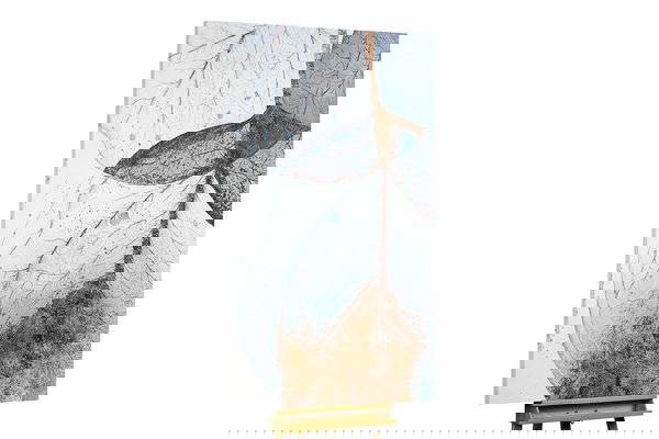 Een uniek exemplaar voor je interieur