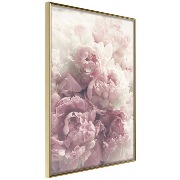 Poster 'Delicate Peonies'