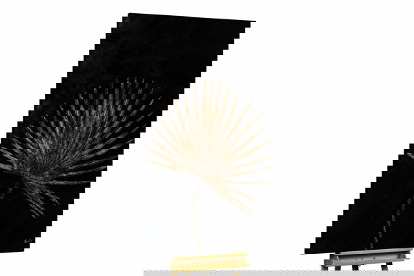 Een uniek exemplaar voor je interieur