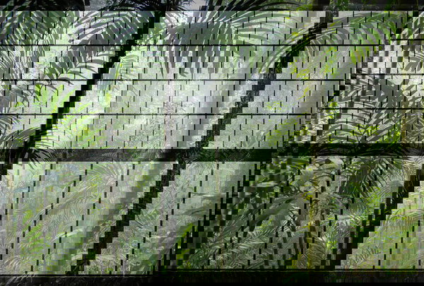 Tapet 'Rainforest 1' 400x270cm