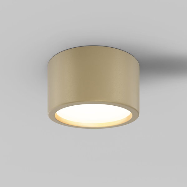 Ceiling Light 'Hydra 5'