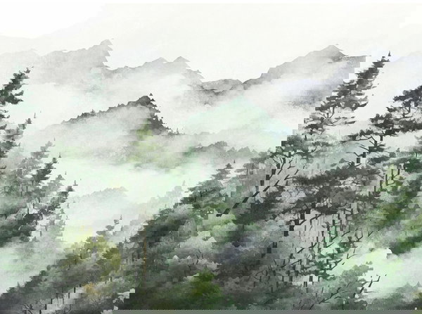 Papel de parede 'Mystic Fogscape' 371x280cm