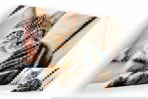 So könnte Ihr Wunschbild aussehen