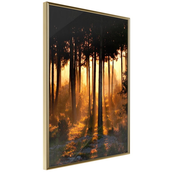Poster 'Dark Tree Tops'