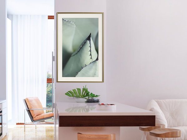 Poster 'Young Leaf of Agave'