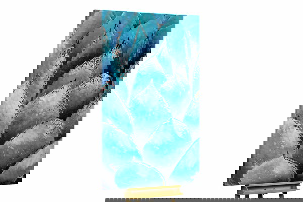 Een uniek exemplaar voor je interieur