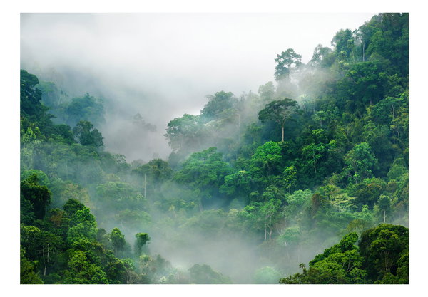 Tapete 'Morning Fog'