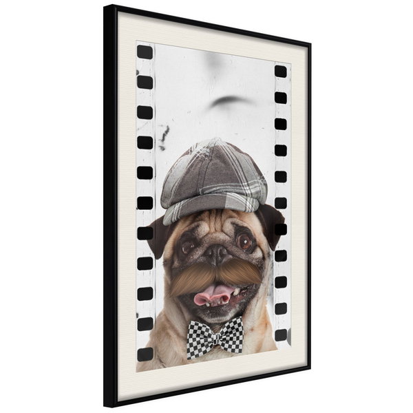 Poster 'Pug In Hat'