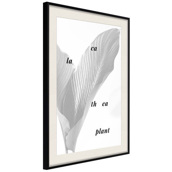 Poster 'Calathea Leaves'