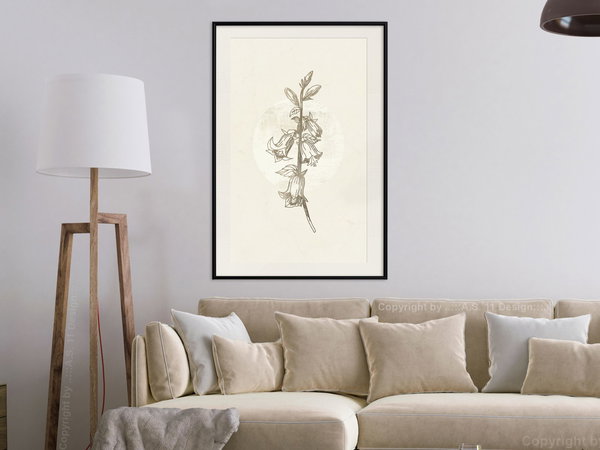 Poster 'Beige Campanula'
