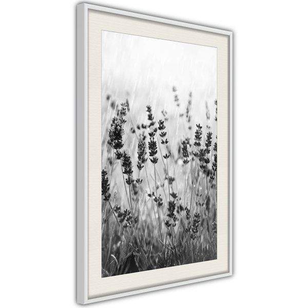Poster 'Shadow of Meadow'