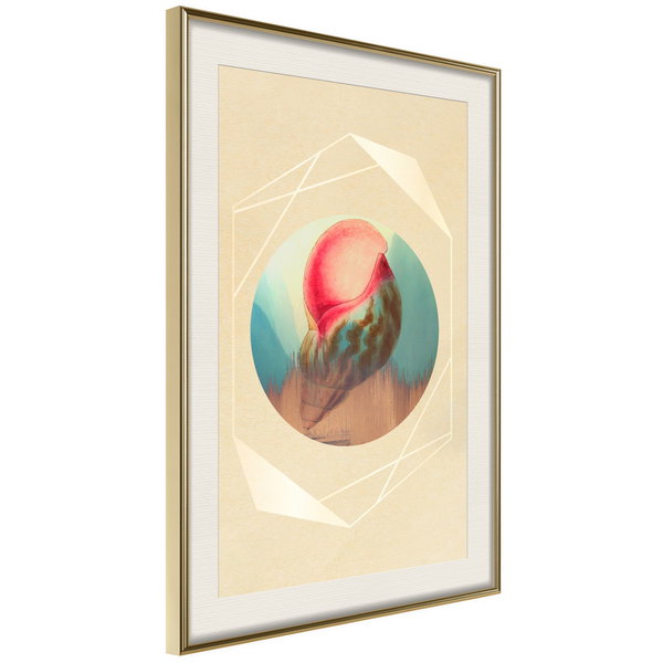 Poster 'Seashell'