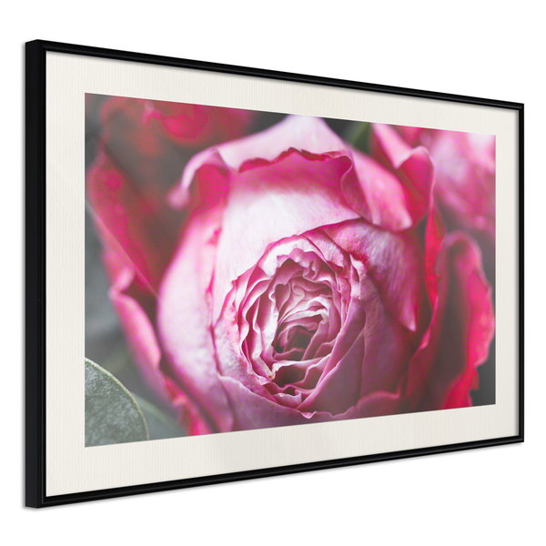 Aφίσα τοίχου 'Blooming Rosae'