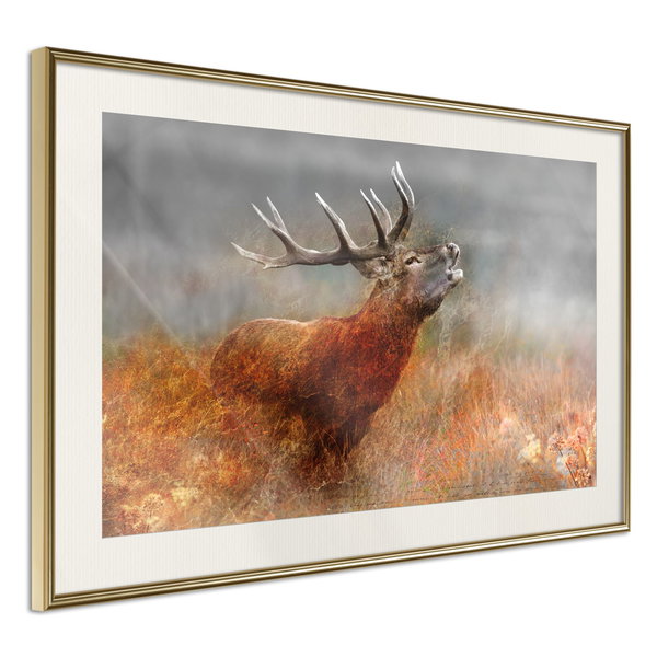 Poster 'Rut'