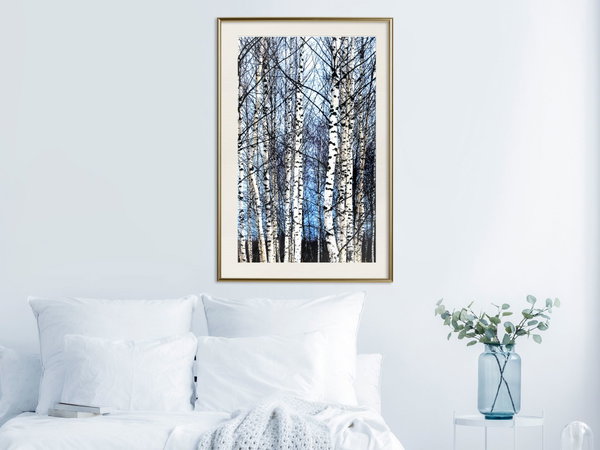 Poster 'Winter Birch Trees'