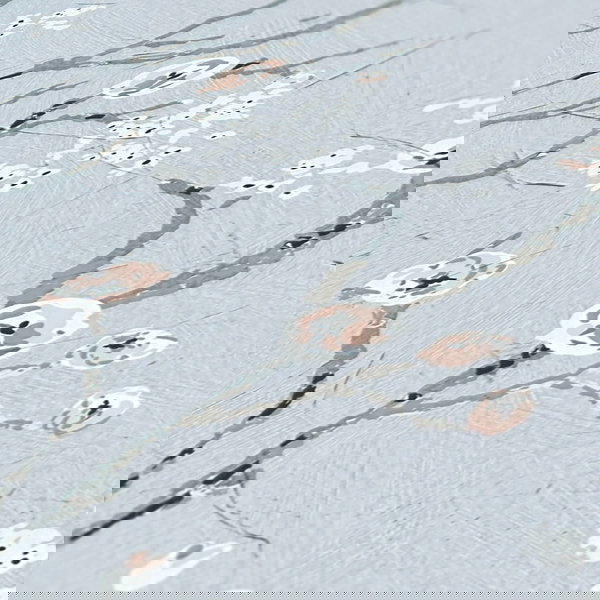 Tapete 'Spring Brunches' 53x1005cm