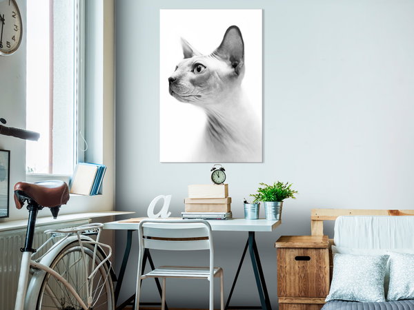 Kunstdruck auf Leinwand 'Hairless Cat Vertical'