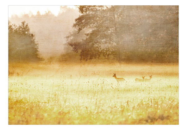 Selbstklebende Tapete 'Morning Dew'