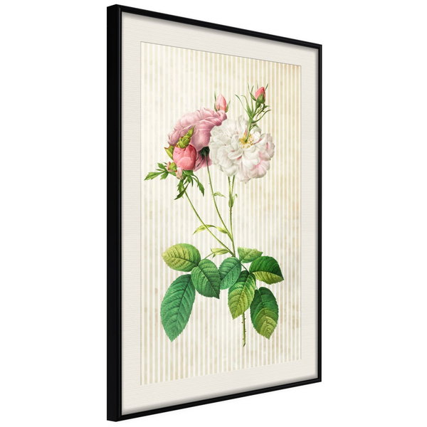Poster 'Romance I'