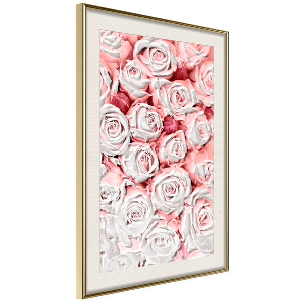 Poster 'White Rosaes'