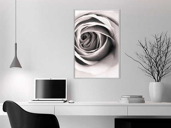 Poster 'Structure of Petals'