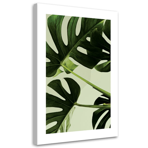 Kunstdruck auf Leinwand 'Monstera Leaves Close-Up'