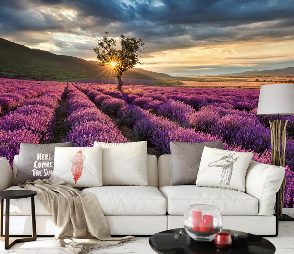 Wallpaper 'Lavendar Field' 336x260cm