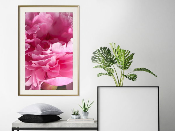Poster 'Beautiful Peonies'