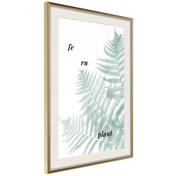 Poster 'Pale Green Fern'