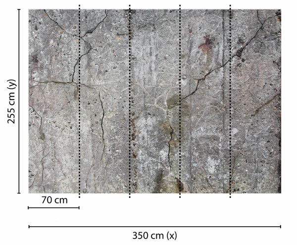Tapete 'Old Concrete' 350x255cm