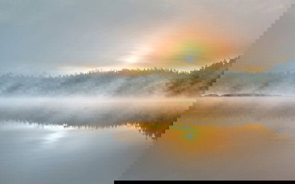 Behang 'Foggy Morning' 400x267cm