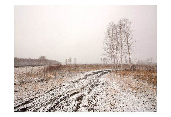 Tapete 'Winter field'