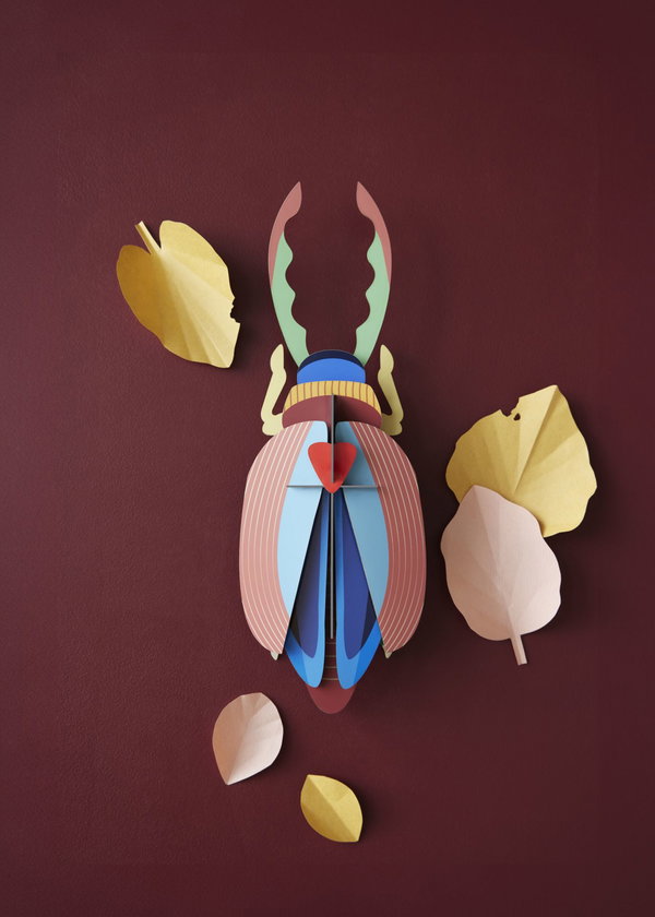 Wanddeko Papier 'Geweihkäfer mit Kamm'