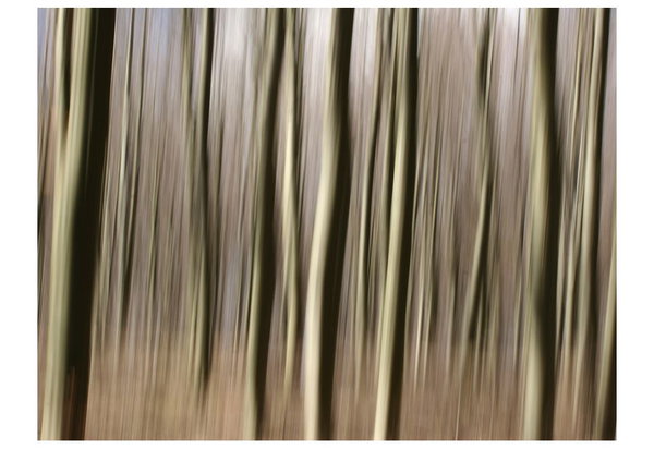 Tapete 'Forest'