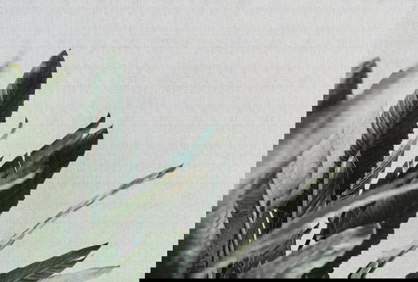 Behang 'Urban Jungle 1' 400x270cm