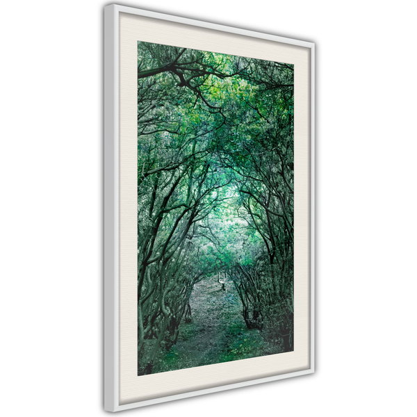 Poster 'Tree Tunnel'