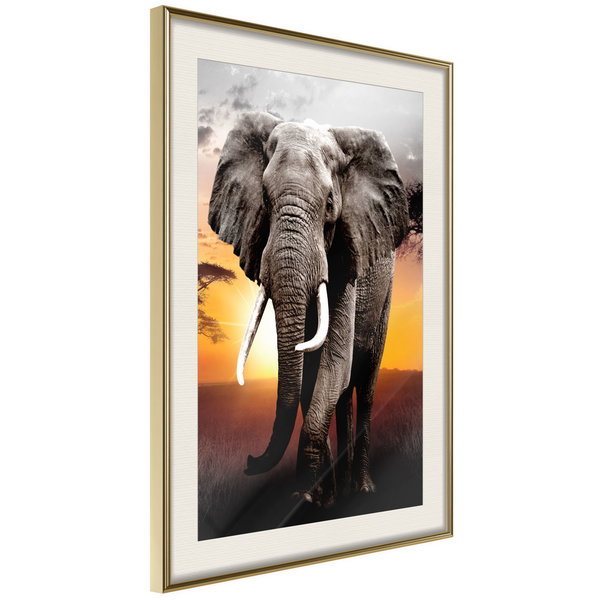Poster 'Majestic Elephant'