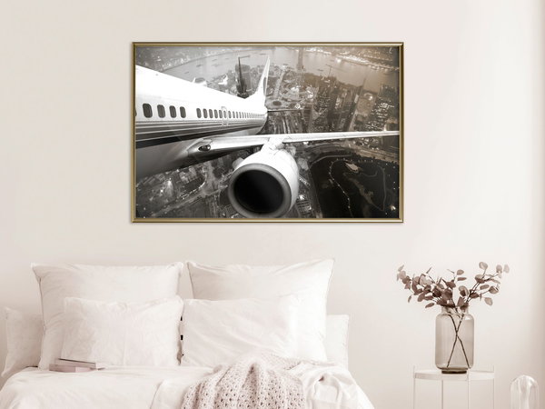 Poster 'Plane Wing'