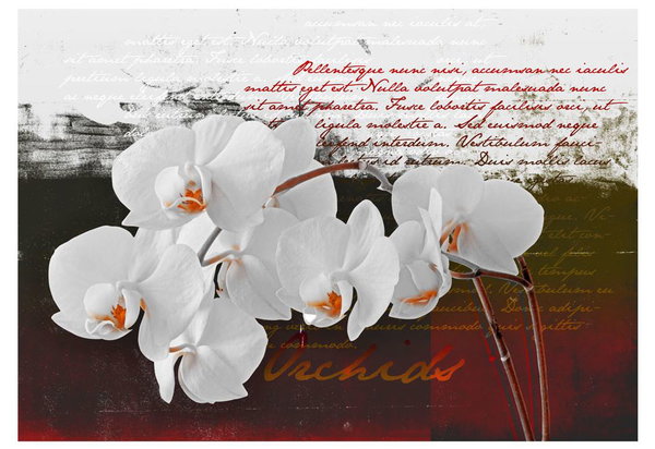 Tapete 'Diary and orchid'