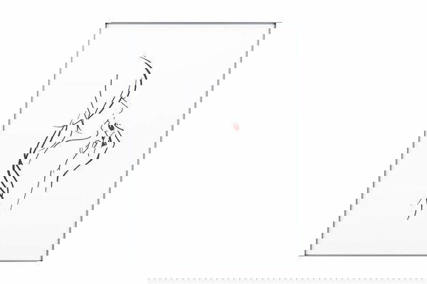 Motieven voor trendsetters