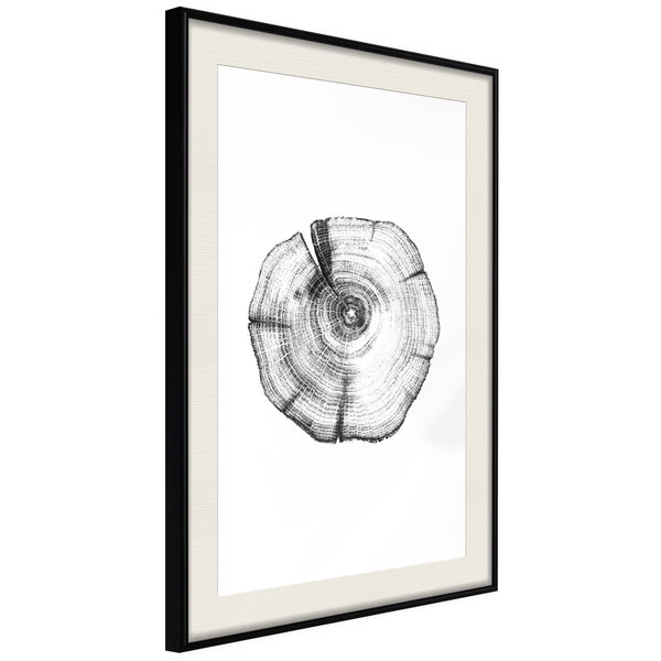 Poster 'Tree Rings'