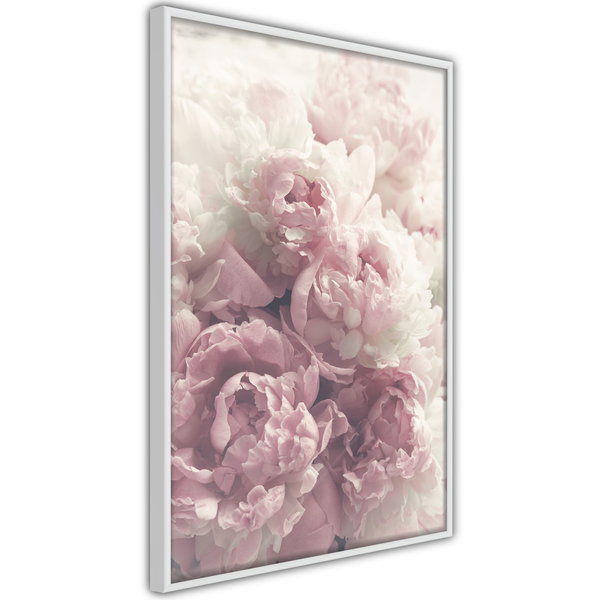 Poster 'Delicate Peonies'