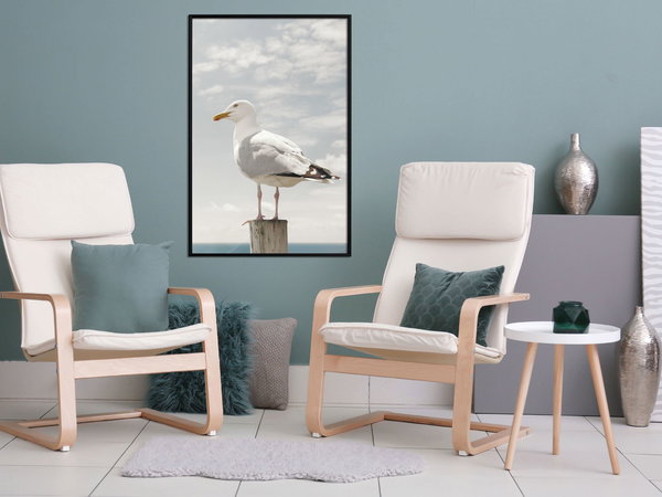 Poster 'Curious Seagull'