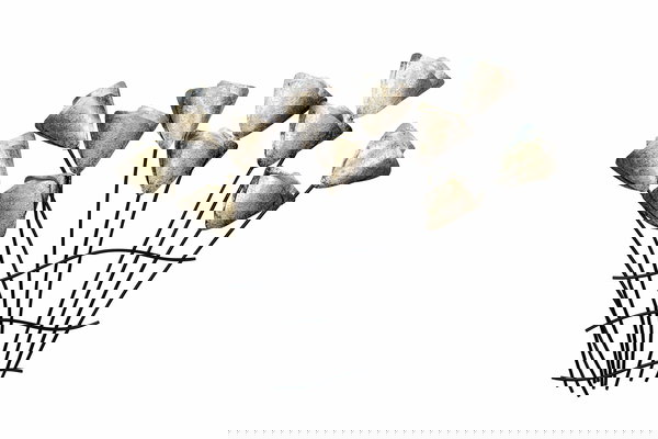 Umelecká dekorácia na stenu