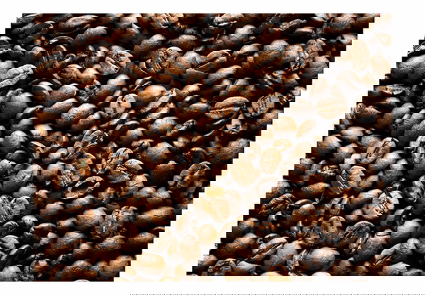 Papel de parede 'Smell of Coffee'