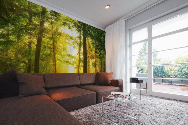 Tapete 'Hidden in Plain' 400x270cm
