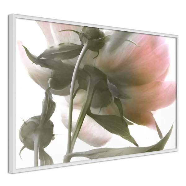 Poster 'Under the Flower'