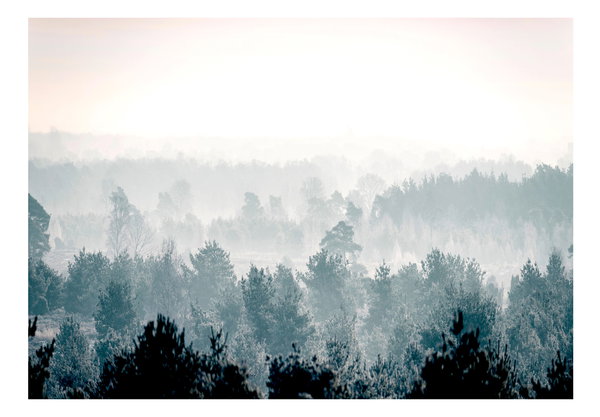 Tapete 'Winter Forest'