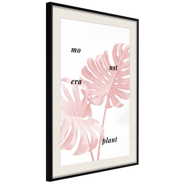 Poster 'Pale Pink Monstera'