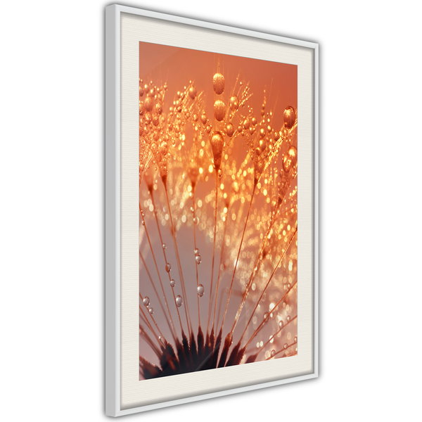 Poster 'Orange Breath of the Summer'